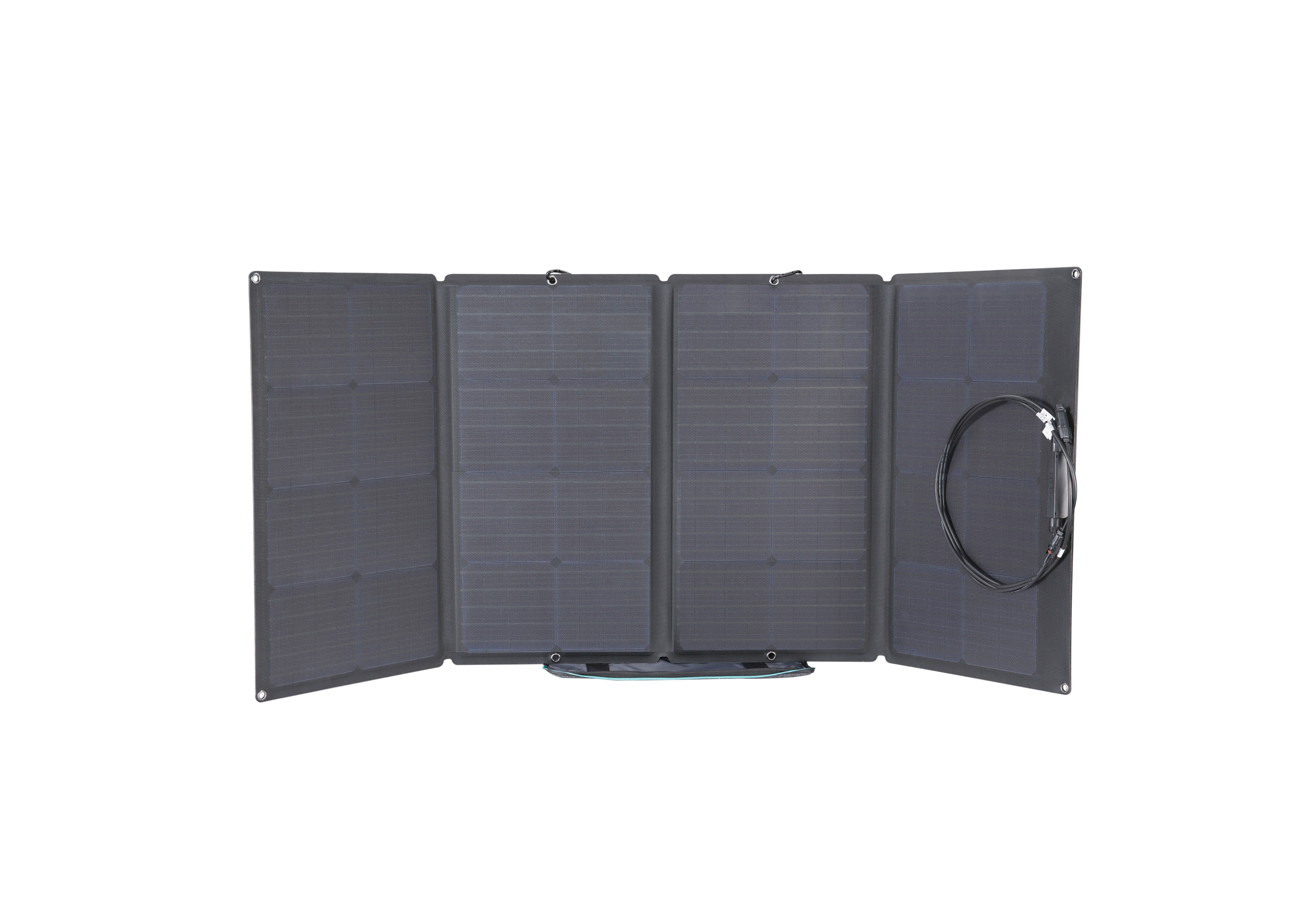 EcoFlow 160W Solar Panel
