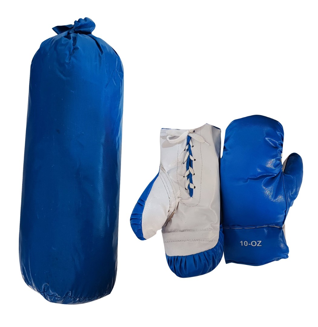Boxing Training Set with Gloves – Blue