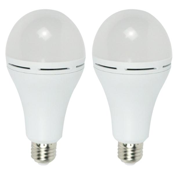 Flash – LED Emergency Lamp / Bulb A60 E27 6000K Daylight 5W Pack of 2