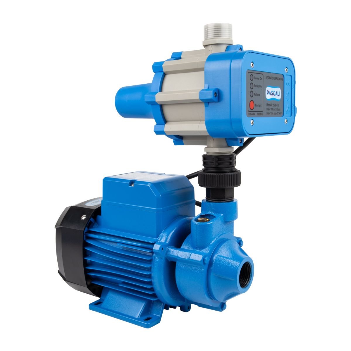 Pascali Peripheral Pump 0.75KW With Flow Switch 230V