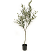 Toolhome Blossoms – Olive Tree in Pot (120cm) Toolhome Blossoms – Olive Tree in Pot (120cm)