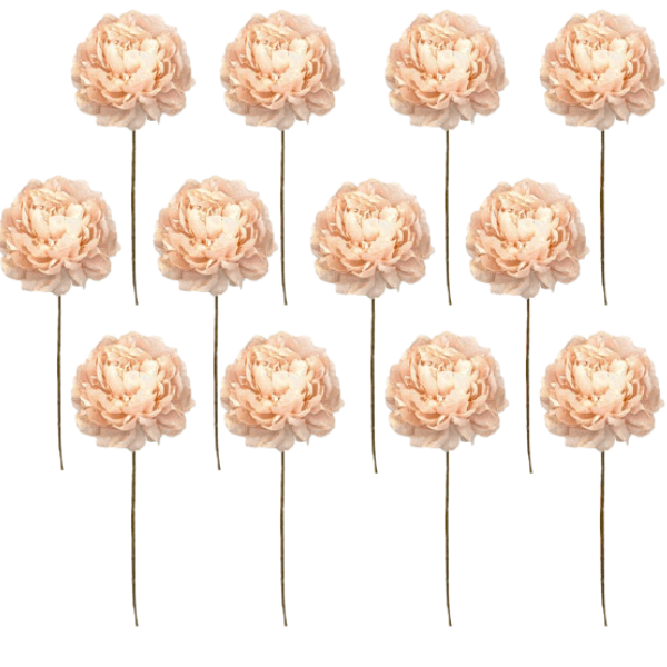 Toolhome Blossoms – Peonies – Sand (Pack of 12 Stems) – 59cm