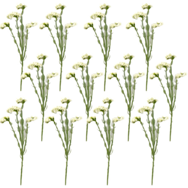 Toolhome Blossoms – Statice – Cream (Pack of 12 Stems) – 68cm