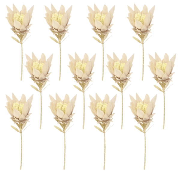 Toolhome Blossoms – Proteas – Light Pink (Pack of 12 Stems) – 38cm