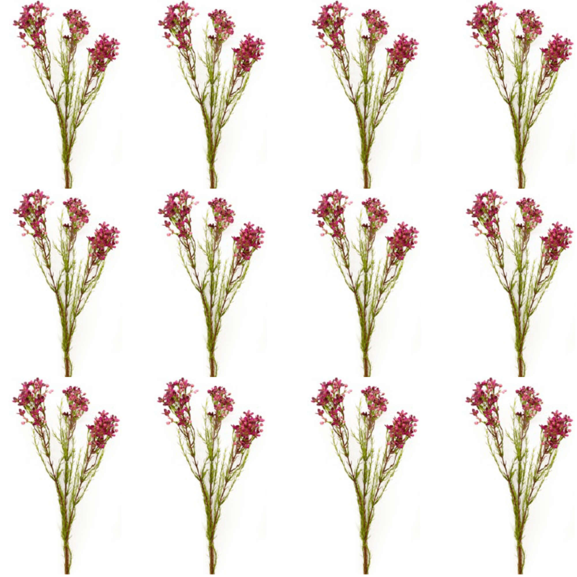 Toolhome Blossoms – Wax Flowers – Plum – Pack of 12 Stems – 78cm