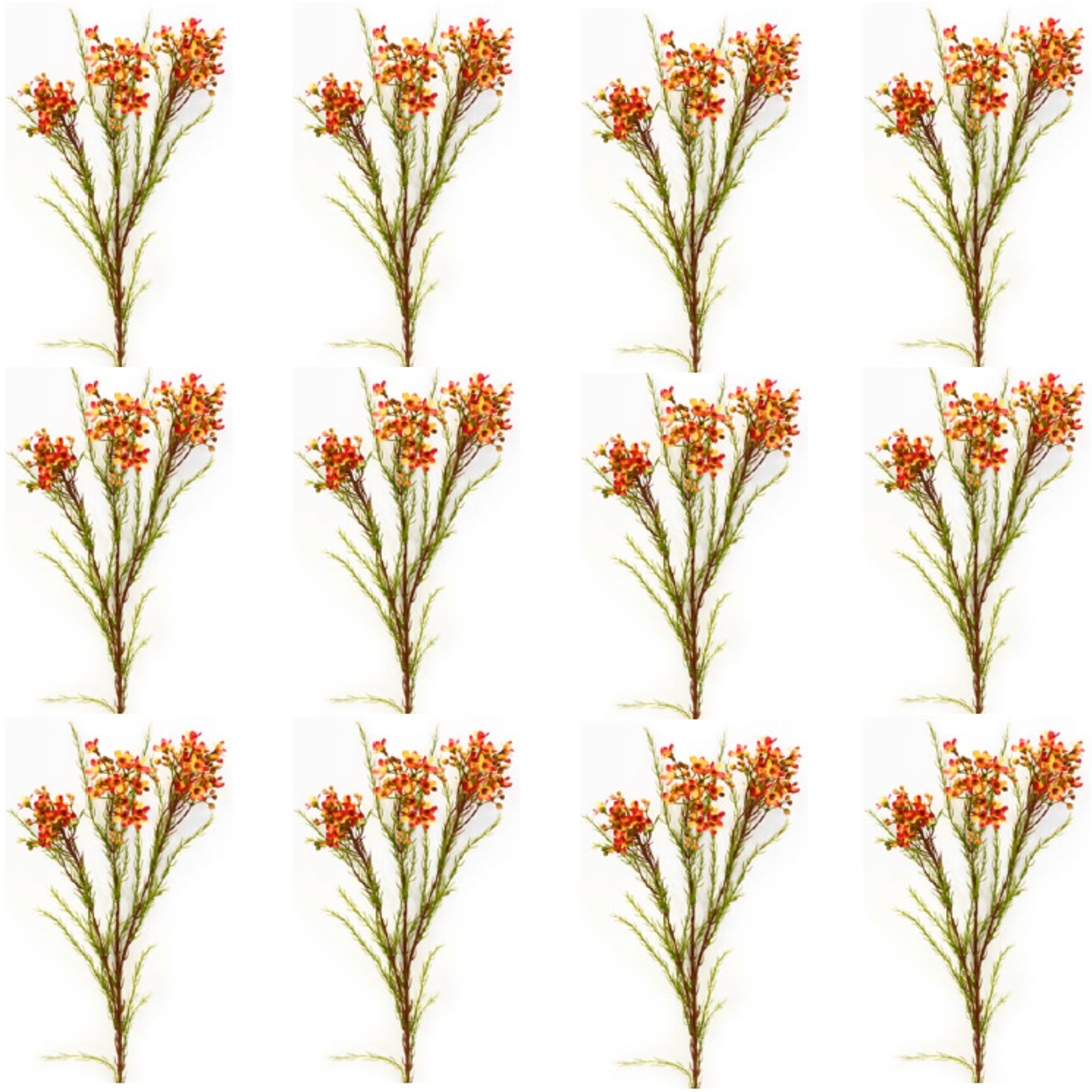 Toolhome Blossoms – Wax Flowers – Orange (Pack of 12 Stems) – 78cm