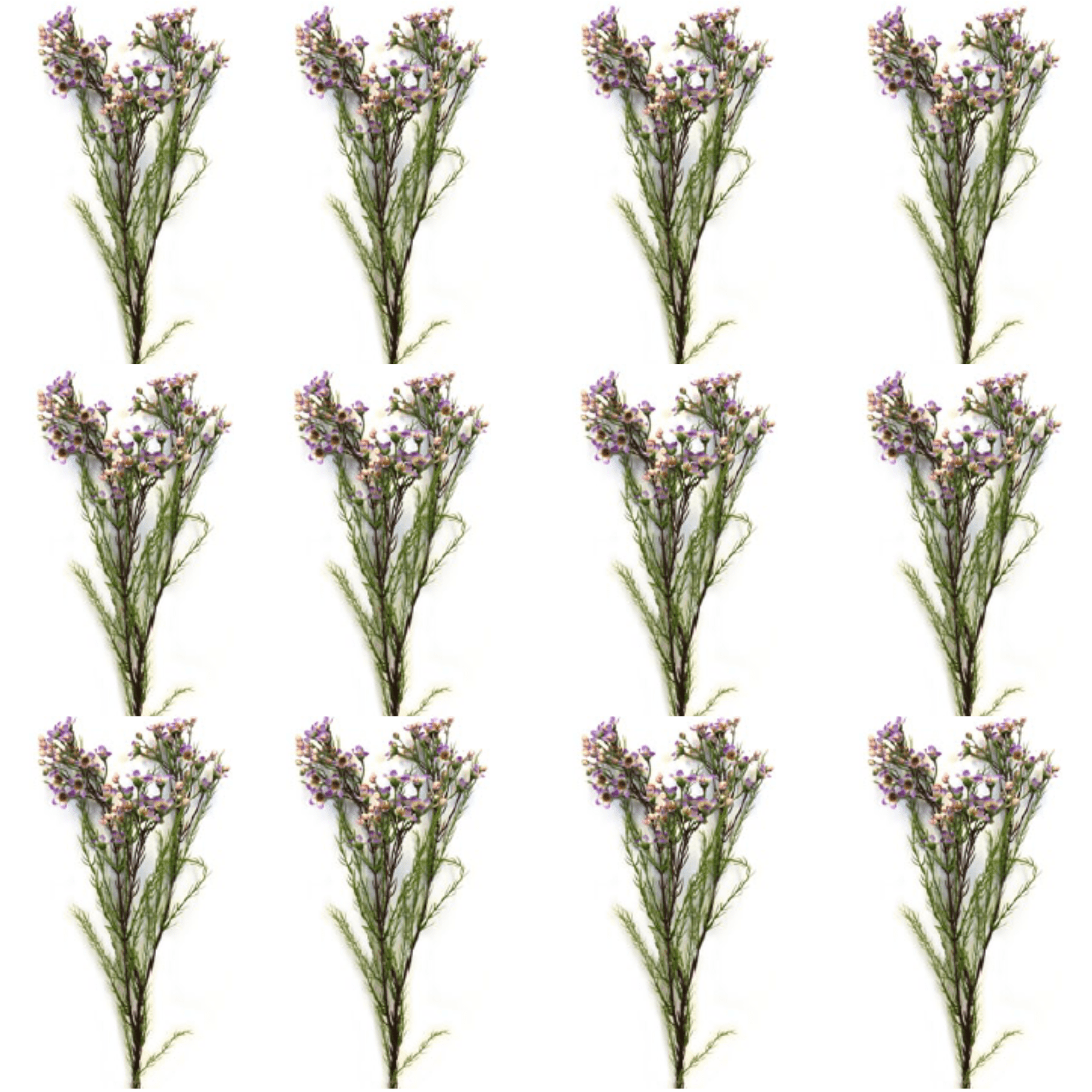 Toolhome Blossoms – Wax Flowers – Lilac (Pack of 12 Stems) – 78cm