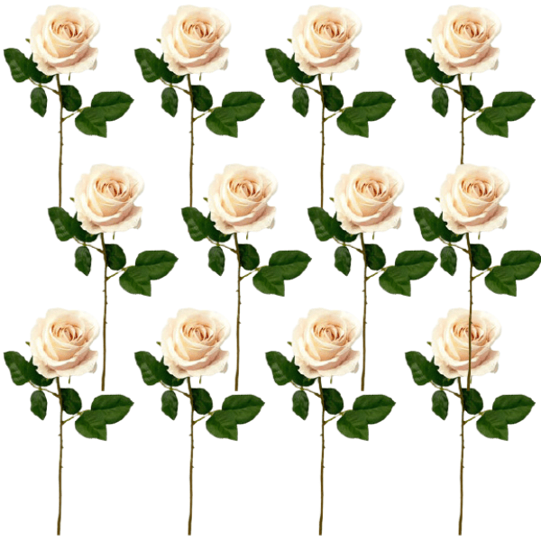 Toolhome Blossoms – Roses – Light Pink (Pack of 12 Stems) – 46cm