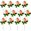 Toolhome Blossoms – Roses – Pink – Pack of 12 Stems – 46cm Toolhome Blossoms – Roses – Pink – Pack of 12 Stems – 46cm