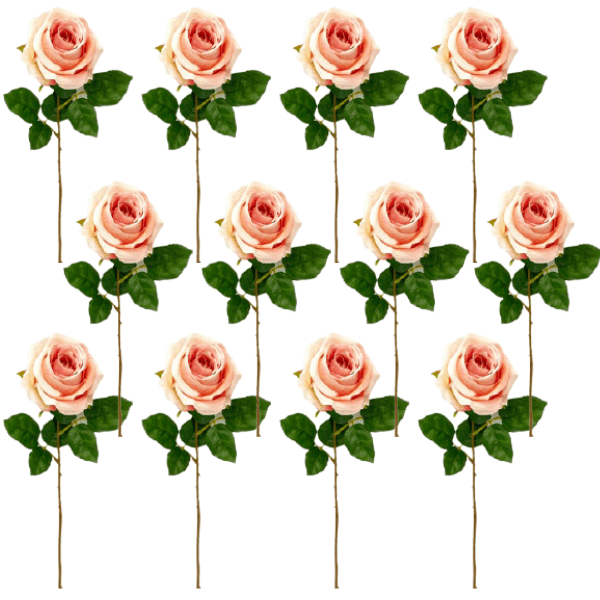 Toolhome Blossoms – Roses – Pink – Pack of 12 Stems – 46cm