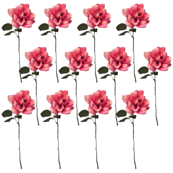 Toolhome Blossoms – Open Roses – Dark Pink (Pack of 12 Stems) – 35cm
