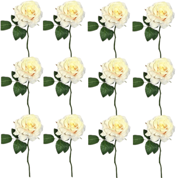 Toolhome Blossoms – Rose Georgia – Sea Shell (Pack of 12 Stems) – 30cm
