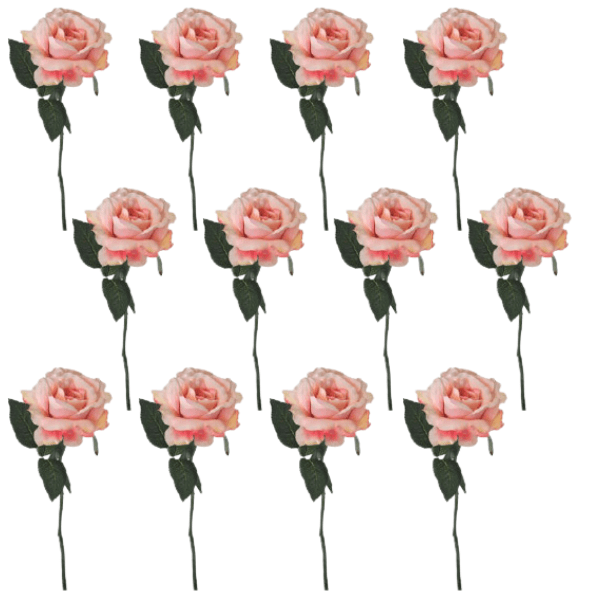 Toolhome Blossoms – Rose Georgia – Pink (Pack of 12 Stems) – 30cm