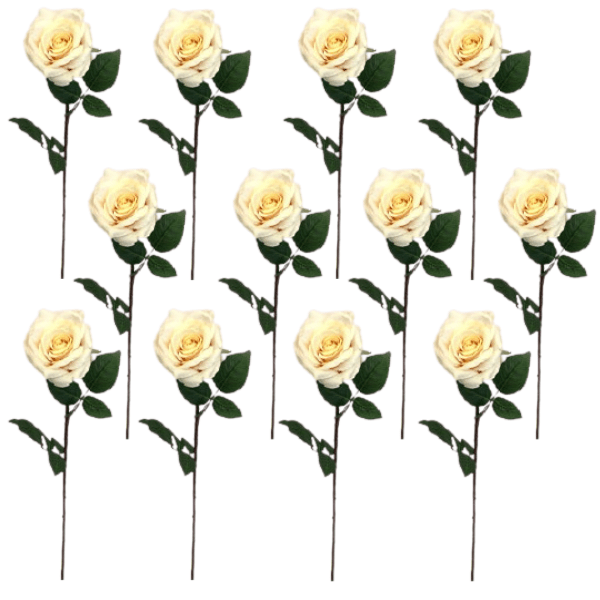 Toolhome Blossoms – Rose Olivia – Sea Shell (Pack of 12) – 63cm