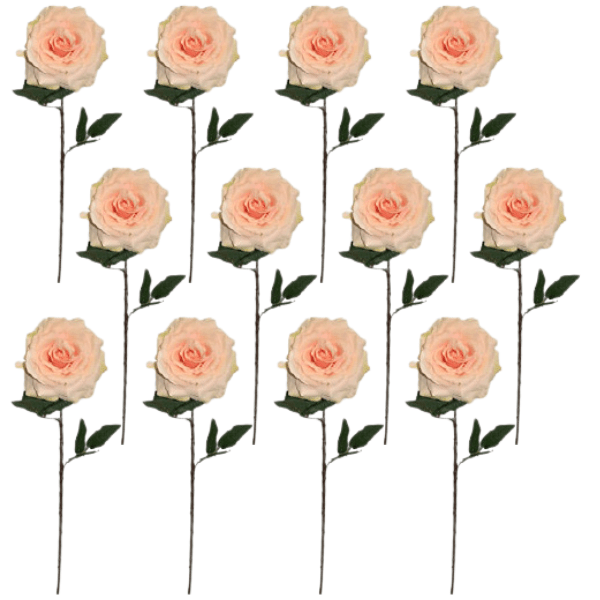 Toolhome Blossoms – Summer Rose – Soft Pink (Pack of 12) – 63cm