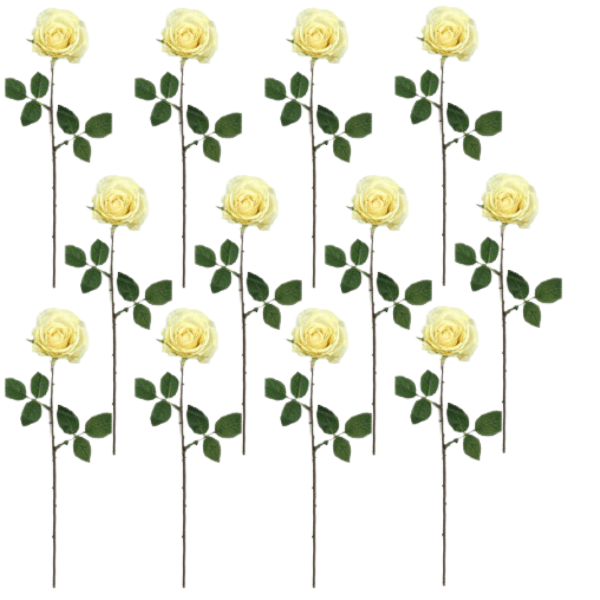 Toolhome Blossoms – Rose Kaia – Cream (Pack of 12) – 64cm