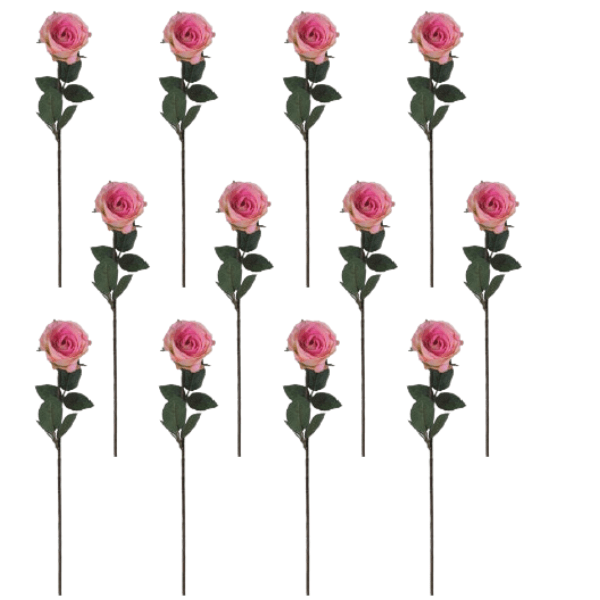 Toolhome Blossoms – Rose Kaia – Pink Two Tone (Pack of 12) – 64cm