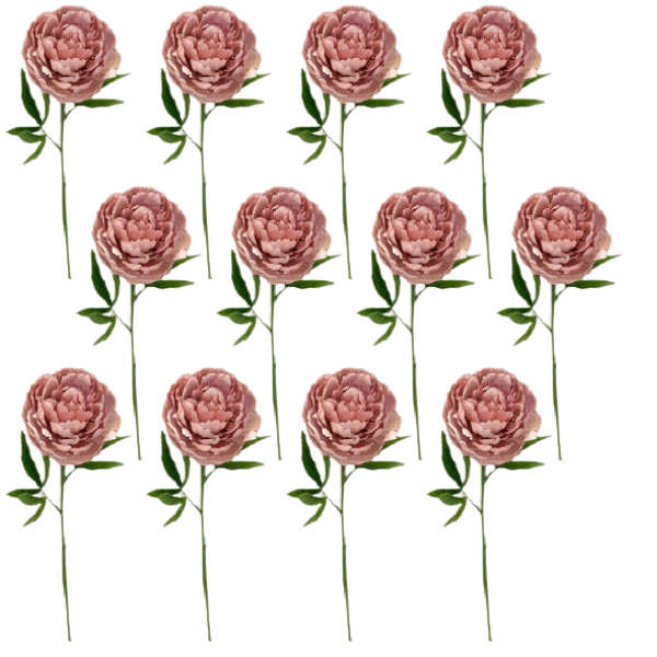 Toolhome Blossoms – Peony – Mauve (Pack of 12 Stems) – 62cm