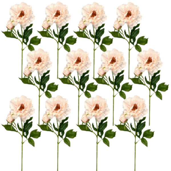 Toolhome Blossoms – Peony – Blush (Pack of 12 Stems) – 71cm