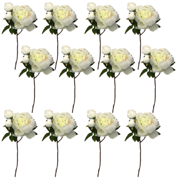 Toolhome Blossoms – Peony – White (Pack of 12 Stems) – 49cm