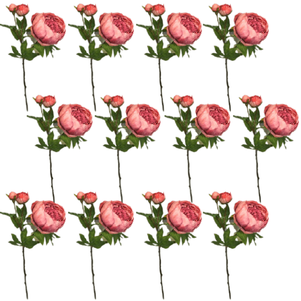 Toolhome Blossoms – Peony – Dark Pink (Pack of 12 Stems) – 49cm