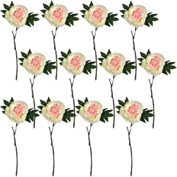 Toolhome Blossoms – Peony – Light Pink (Pack of 12 Stems) – 48cm
