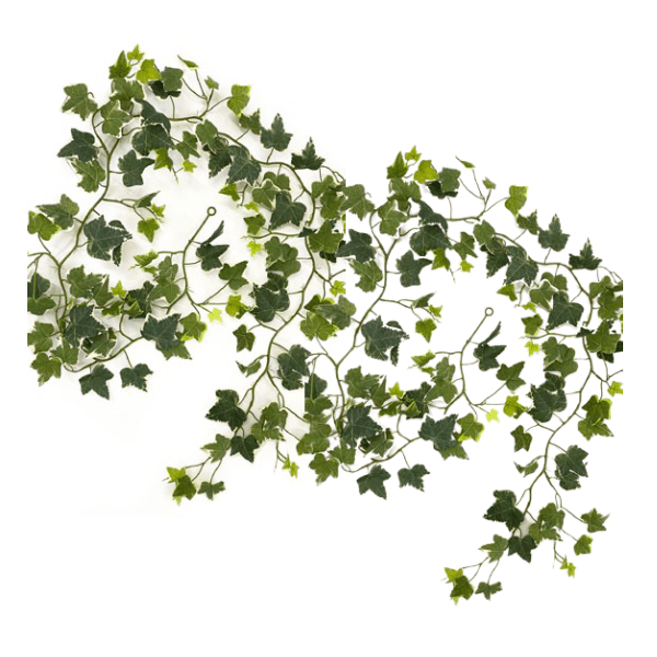 Toolhome Blossoms – Garland Ivy Varigated – Pack of 2 – 183cm