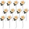 Toolhome Blossoms – Open Roses – Cream – Pack of 12 Stems – 35cm Toolhome Blossoms – Open Roses – Cream – Pack of 12 Stems – 35cm
