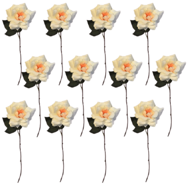 Toolhome Blossoms – Open Roses – Cream – Pack of 12 Stems – 35cm