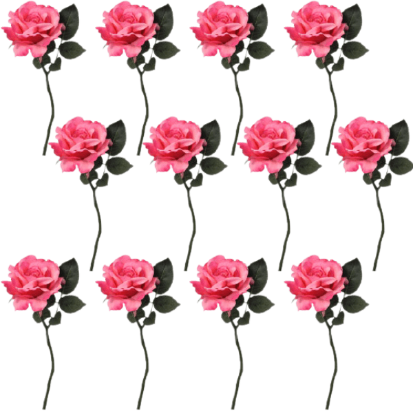 Toolhome Blossoms – Rose Georgia – Dark Pink – Pack of 12 Stems – 30cm