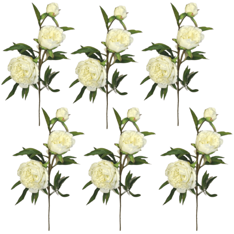 Toolhome Blossoms – Peony Spray – White – Pack of 6 Stems – 74cm