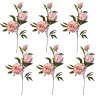 Toolhome Blossoms – Peony Spray – Pink – Pack of 6 Stems – 74cm Toolhome Blossoms – Peony Spray – Pink – Pack of 6 Stems – 74cm