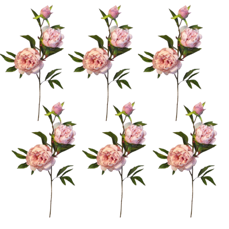 Toolhome Blossoms – Peony Spray – Pink – Pack of 6 Stems – 74cm