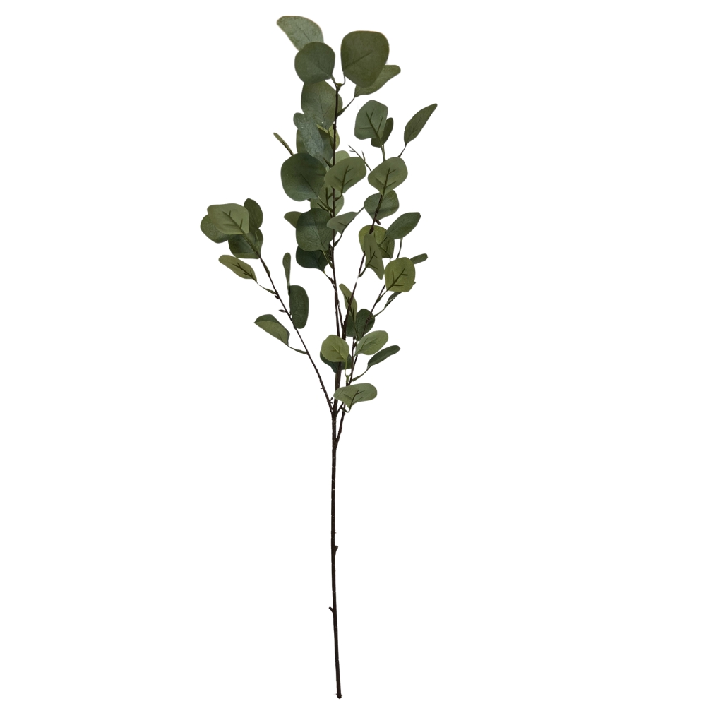 Toolhome Blossoms – Eucalyptus Money Leaf – 89cm