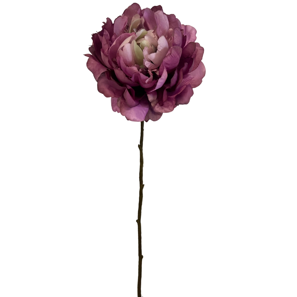 Toolhome Blossoms – Peony – Plum – 59cm