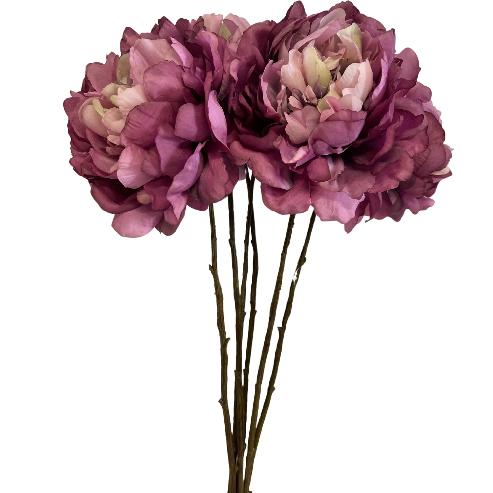 Toolhome Blossoms – Peonies – Plum (Pack of 6 Stems)- 59cm