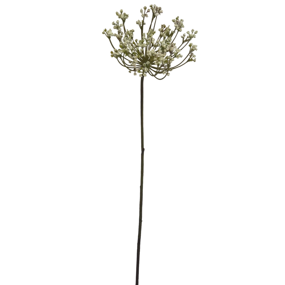Toolhome Blossoms – Queen Anne Lace – Cream – 72cm
