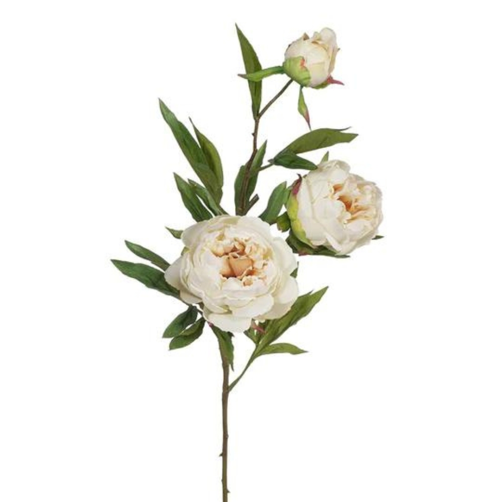 Toolhome Blossoms – Peony Spray – Sea Shell – 74cm