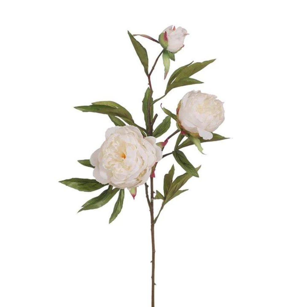 Toolhome Blossoms – Peony Spray – White – 74cm