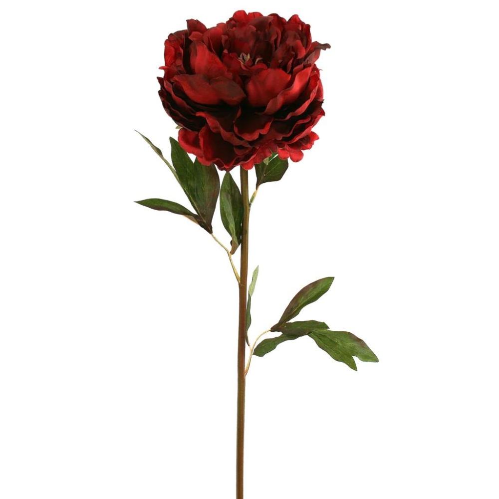 Toolhome Blossoms – Closed Peony – Dark Red – 47cm