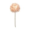 Toolhome Blossoms – Peonies – Sand (Pack of 6 Stems) – 59cm Toolhome Blossoms – Peonies – Sand (Pack of 6 Stems) – 59cm