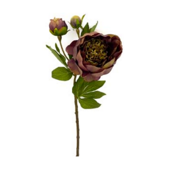 Toolhome Blossoms – Peony – Burgundy Green – 49cm