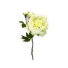 Toolhome Blossoms – Peony – White Green (Pack of 6 Stems) – 49cm Toolhome Blossoms – Peony – White Green (Pack of 6 Stems) – 49cm
