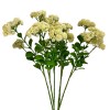 Toolhome Blossoms – Sedum – Cream (Pack of 6 Sprays) – 56cm Toolhome Blossoms – Sedum – Cream (Pack of 6 Sprays) – 56cm