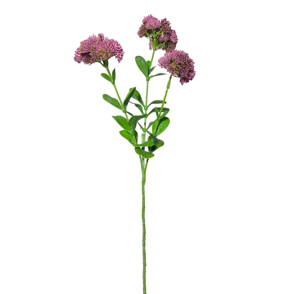 Toolhome Blossoms – Sedum – Pink – 56cm