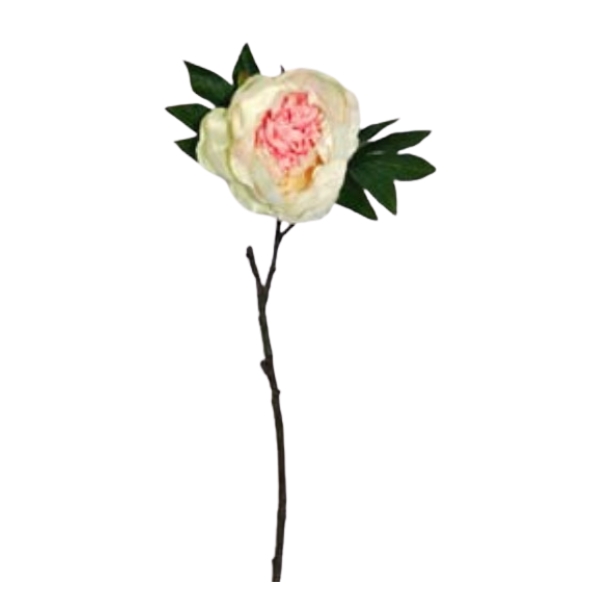 Toolhome Blossoms – Peony – Light Pink (Pack of 6 Stems) – 48cm