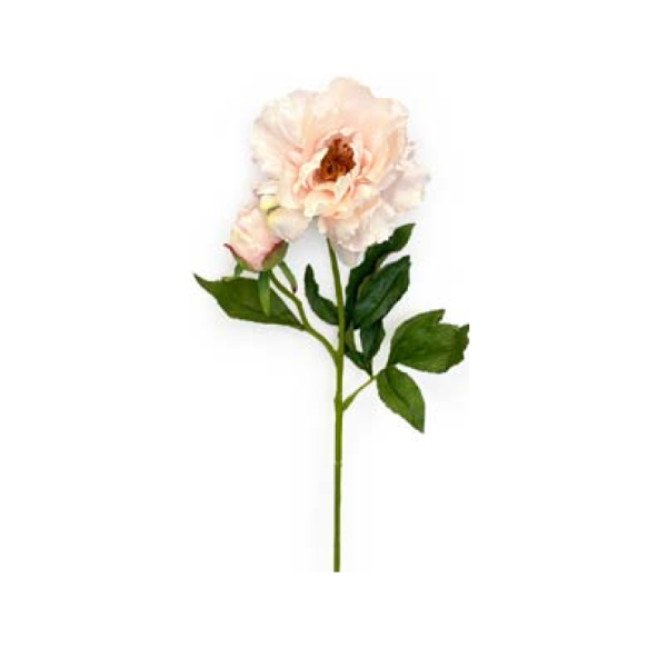 Toolhome Blossoms – Peony – Blush – 71cm