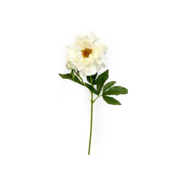 Toolhome Blossoms – Peony – White – 71cm
