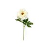 Toolhome Blossoms – Peony – White (Pack of 6 Stems) – 71cm Toolhome Blossoms – Peony – White (Pack of 6 Stems) – 71cm