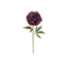 Toolhome Blossoms – Peony – Plum (Pack of 6 Stems) – 62cm Toolhome Blossoms – Peony – Plum (Pack of 6 Stems) – 62cm